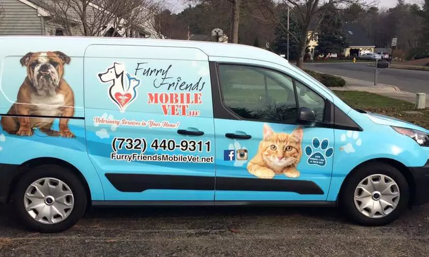 $50 for $99 Worth of Services — Furry Friends Mobile Vet, LLC  Dr. David Weiss, DVM - Primary Image