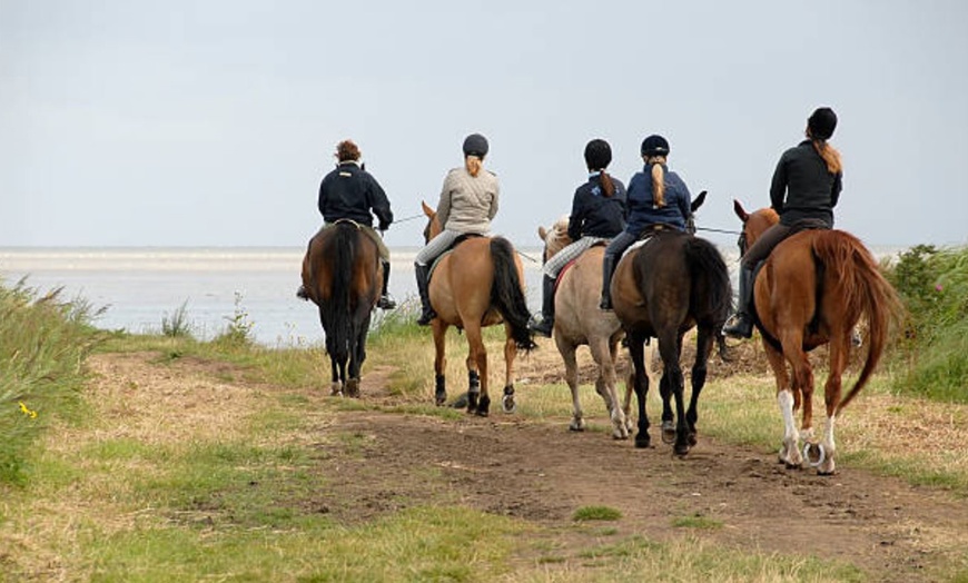 Image 6: Ruta a caballo con comida en plena naturaleza