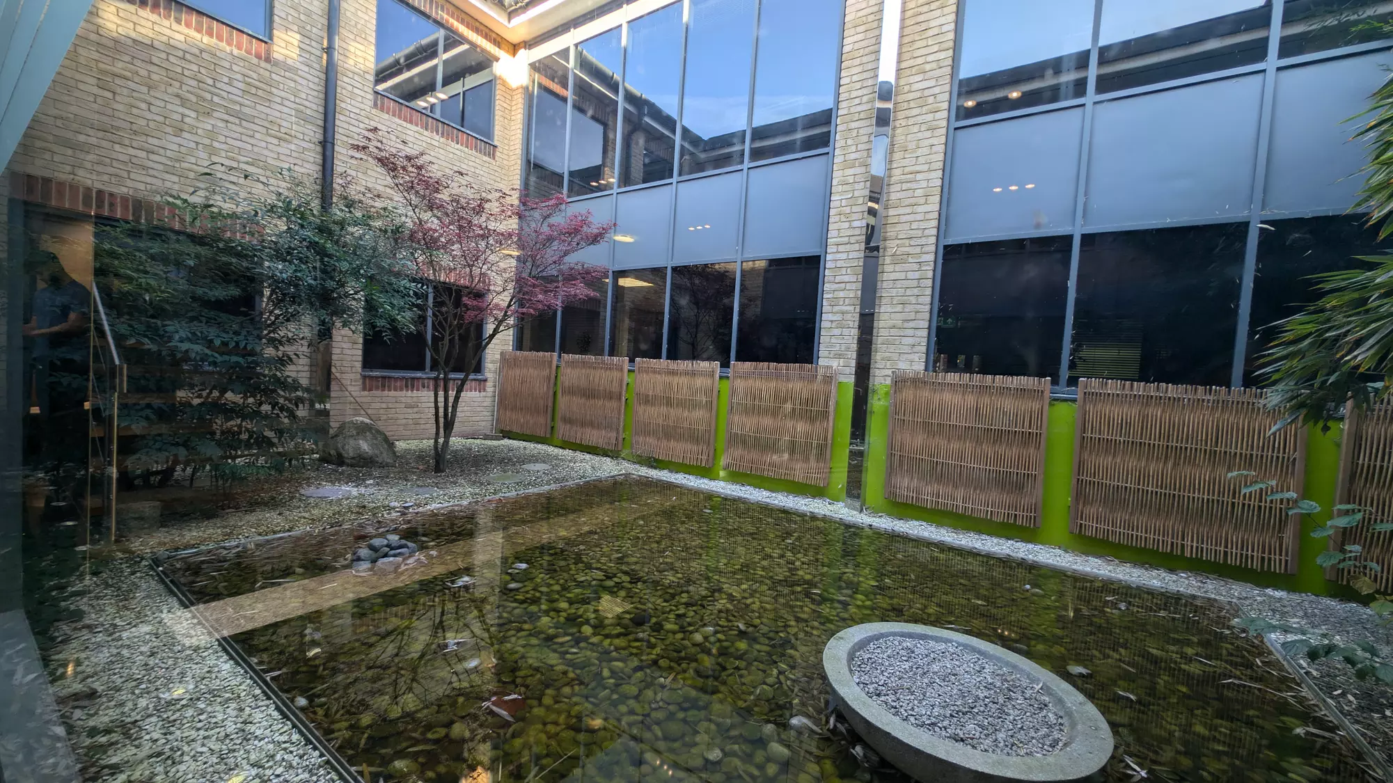 Osteopathy Session with Consultation and Optional Follow-Up Session