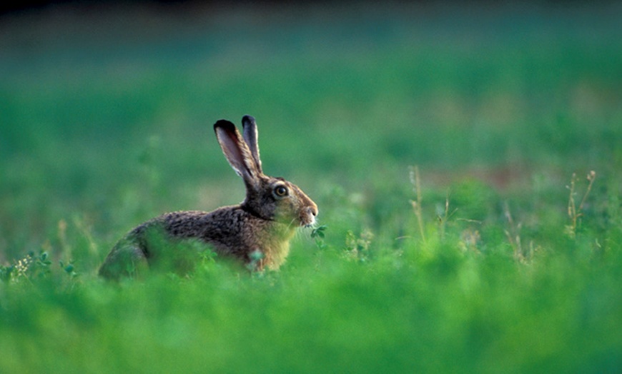 Image 5: Ingressi al Bosco WWF di Vanzago 