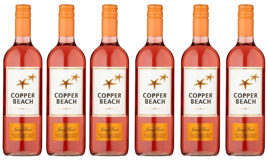 Image 2: Copper Beach Juicy Wine 75cl