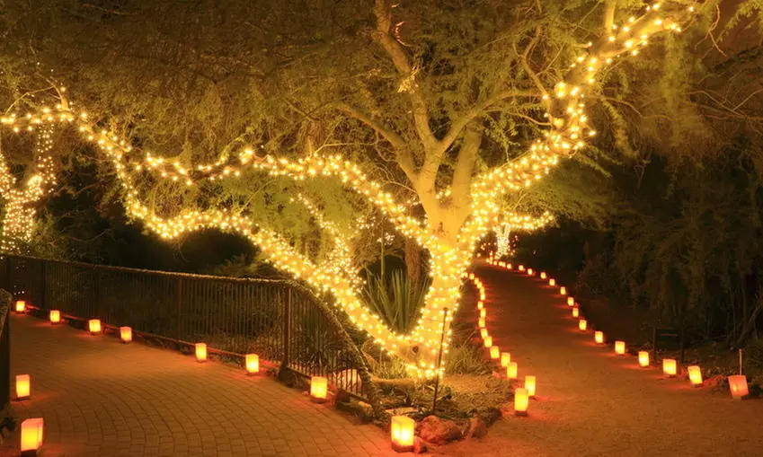 1, 2 ou 4 guirlandes solaires de 50, 100 ou 200 ampoules LED, blanc chaud - Primary Image