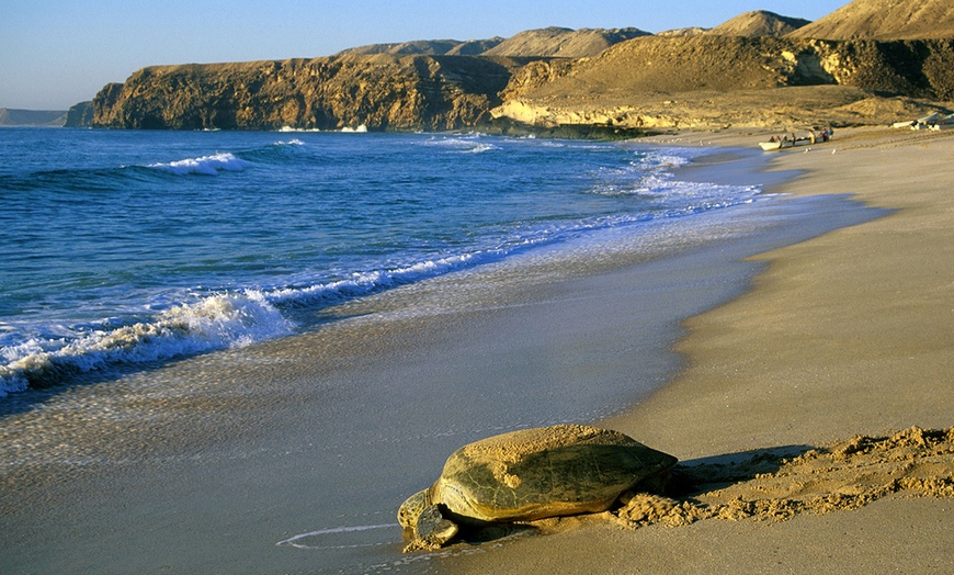 Image 1: Oman Stay with Breakfast