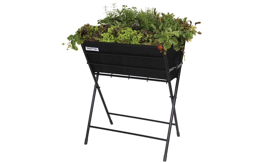 Image 11: VegTrug Planter and Seeds