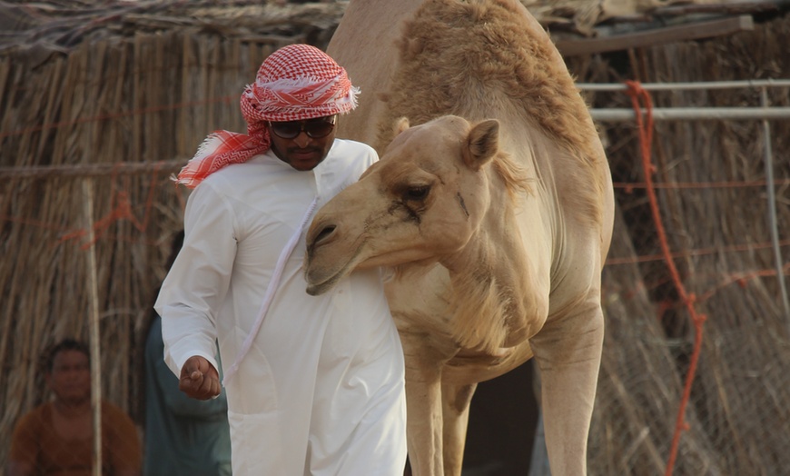 Image 10: Half-Day Desert Safari