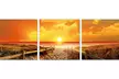 Wall-Mounted Photography Prints - Second Medium