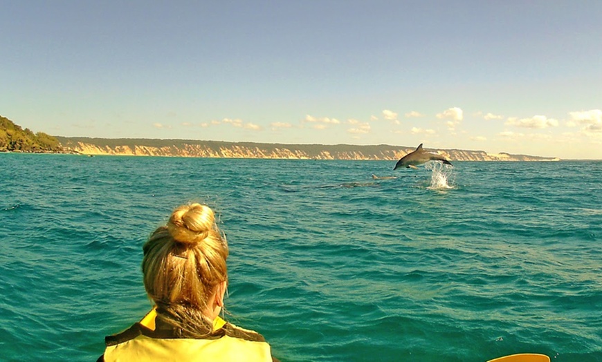 Image 10: Dolphin-View Kayak Tour or Private Day Tour to Double Island Point