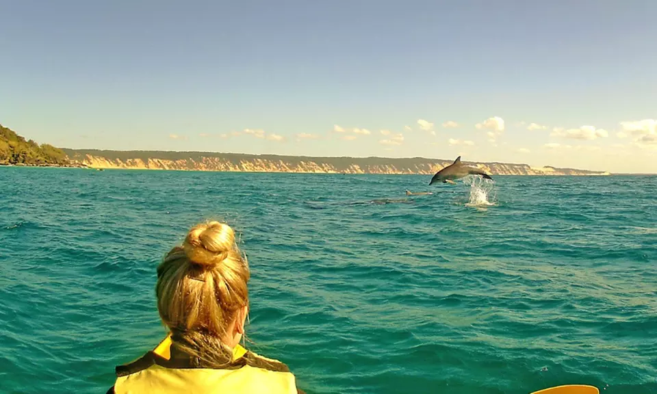Dolphin-View Kayak Tour or Private Day Tour to Double Island Point