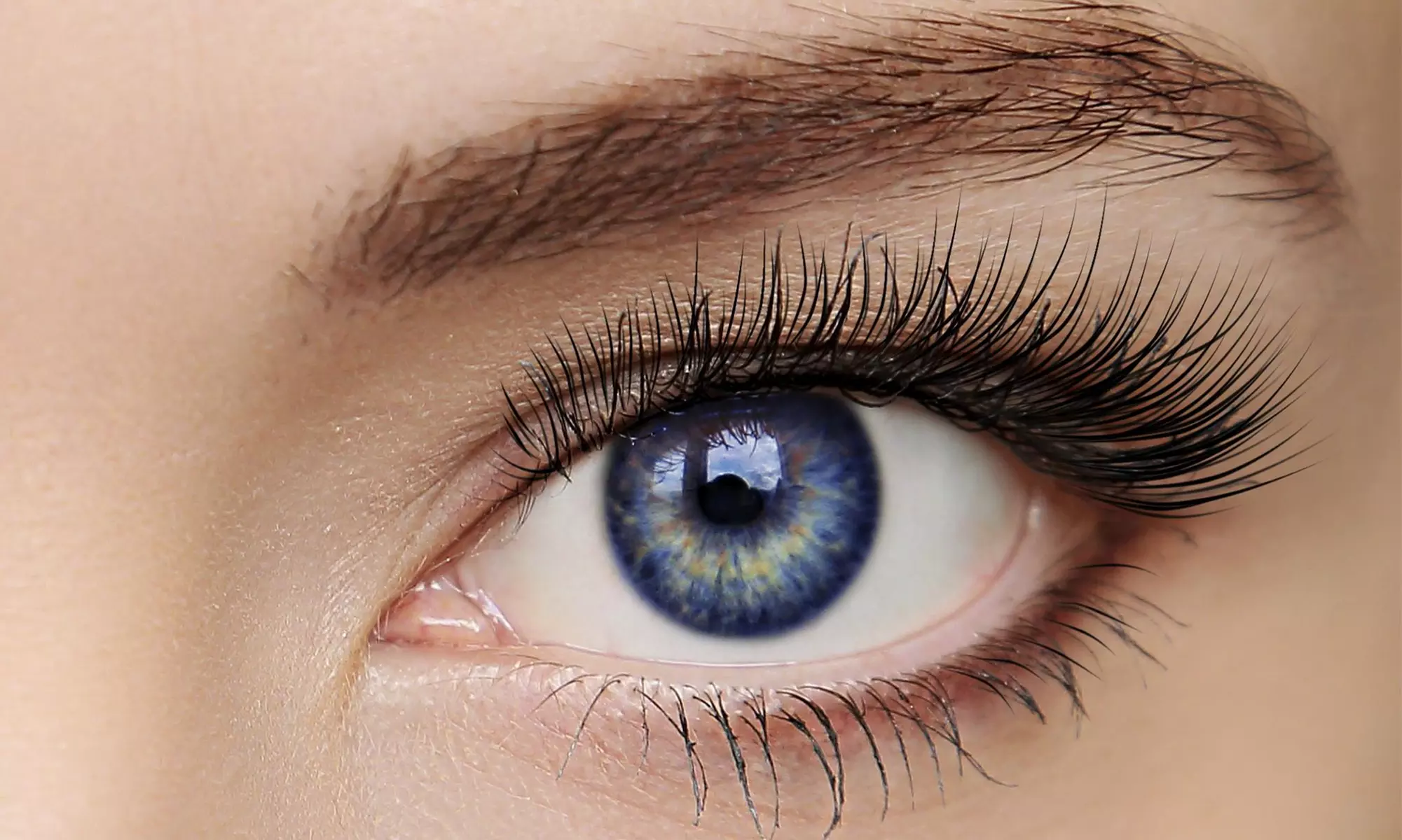 $55 for $120 Worth of Services — Fefethecreator - Primary Image