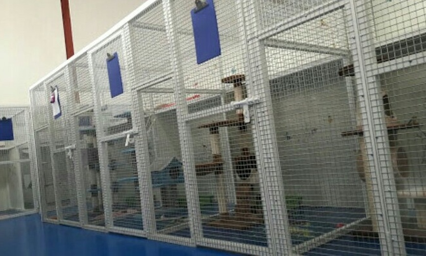 Image 11: Pet Boarding at PoshPaws Kennels and Cattery