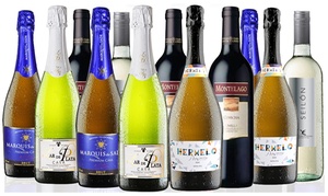 Case of 12 Sparkling and Mix Wines