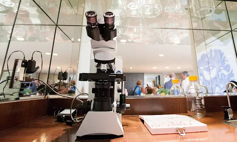 Tour or Lecture at The Brain Observatory (Up to 40% Off) - Second Medium