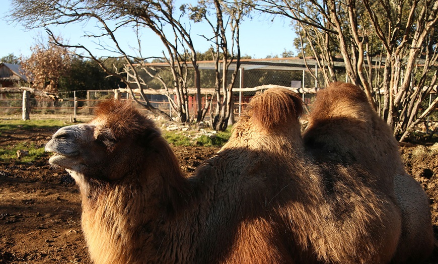 Image 4: Entrées au Parc Animalier Ginasservis Zoo