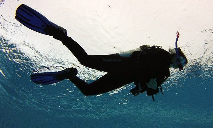 Schöne Unterwasserwelt: Tauch-Schnupperkurs für 1, 2 oder 4 Personen