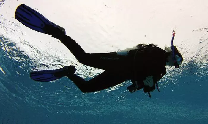 Entdecke die Unterwasserwelt mit einem Tauch-Schnupperkurs für 1, 2 oder 4 Personen (bis zu 64% sparen) - Primary Image