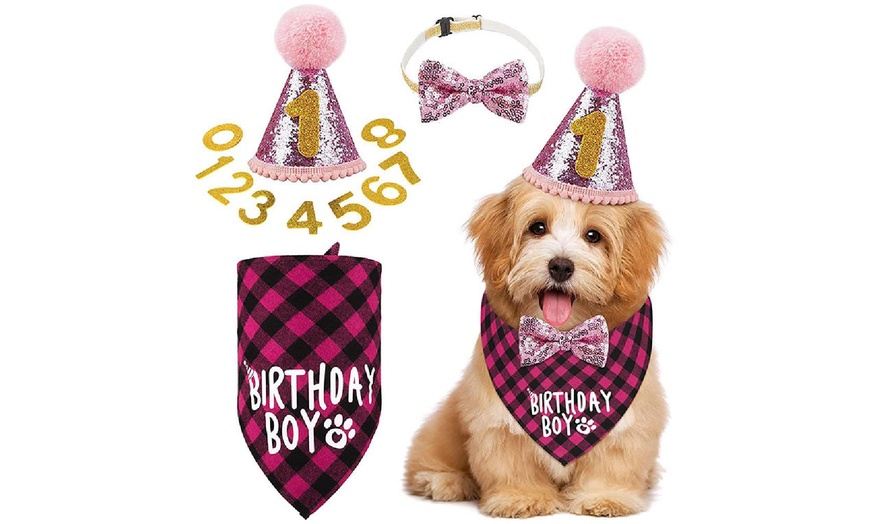 Image 2: Dog Birthday Bandana Scarf and Hat with Numbers