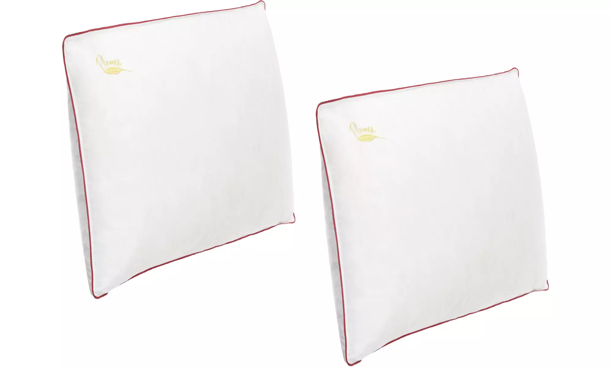 Oreillers 100 % plumes de canard Sampur