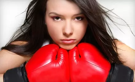 $35 for a Five-Class Punch Card to Patriot Boxing in Elmhurst ($75 Value) - Primary Image