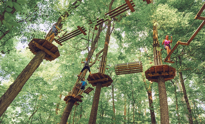 Treetop Adventure Admission Go Ape Groupon