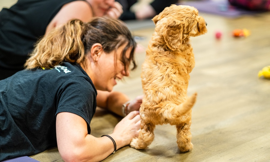 Image 1: Up to 56% Off on Yoga Class at Puppy Yoga Company