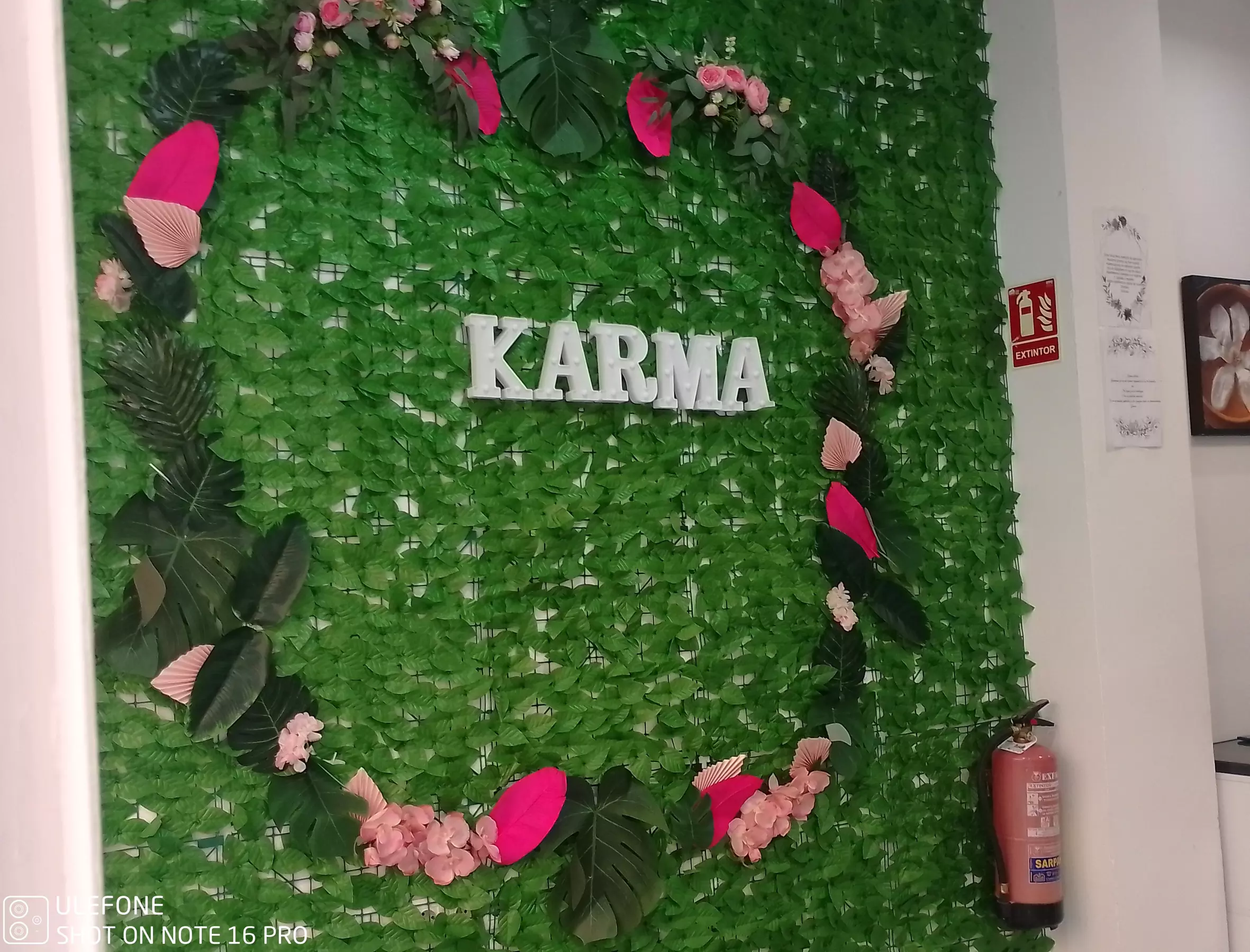 Sesión de peluquería con corte