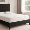 Image 14: Lit fixe "Triomphe" en similicuir, matelas "Cosmos" en option