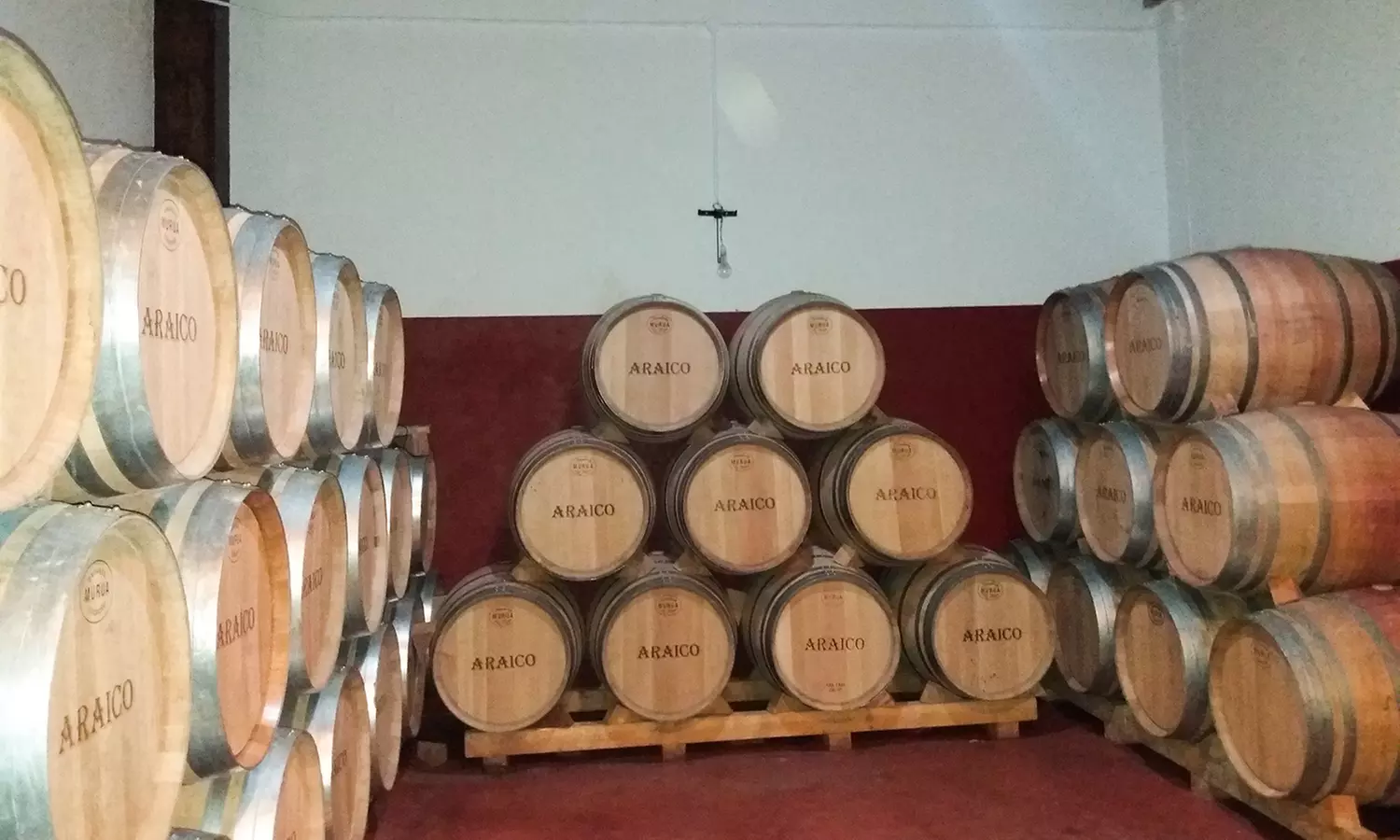Visita a bodega y cata para 2