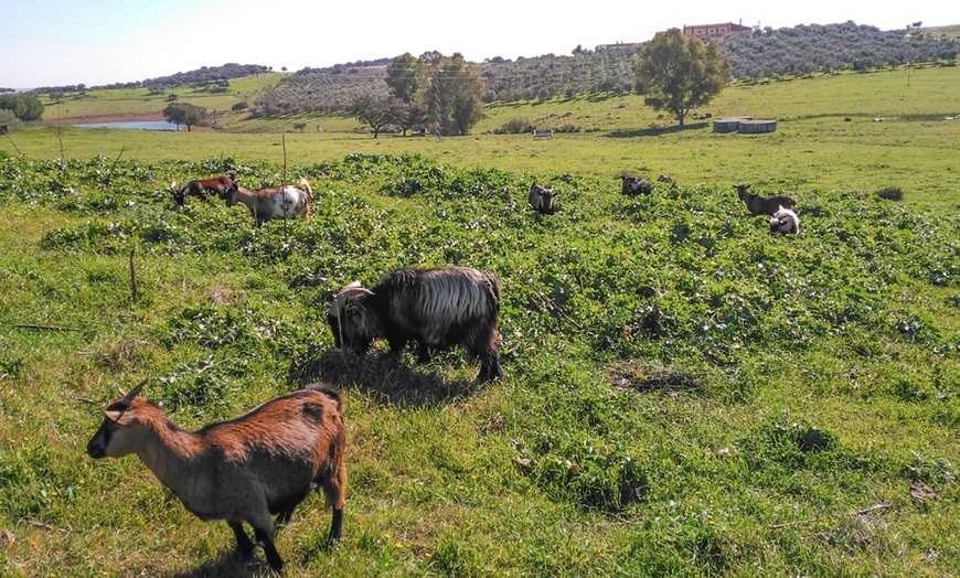 Image 16: Hasta 56% de dto. en CENTRO ANDALUZ DE LA FAUNA SALVAJE