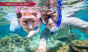 Four-Hour Snorkelling Trip with Lunch