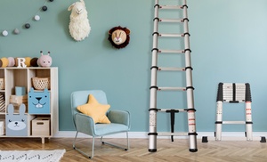 Extendable Ladder with a Soft Close Feature