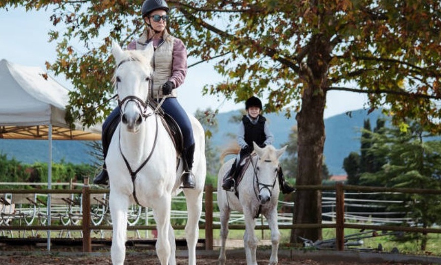 Image 3: ✦ 3 o 5 clases de hípica en La Finca Pony Club