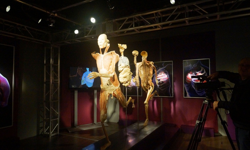 Image 3: „Real Bodies“ in Dresden