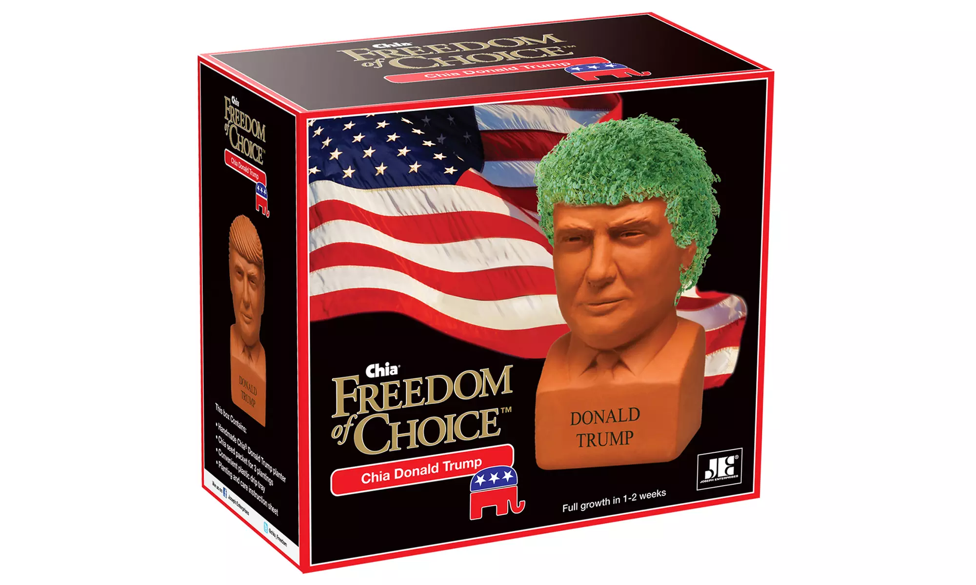Chia Pet Freedom of Choice - Donald Trump - Second Medium