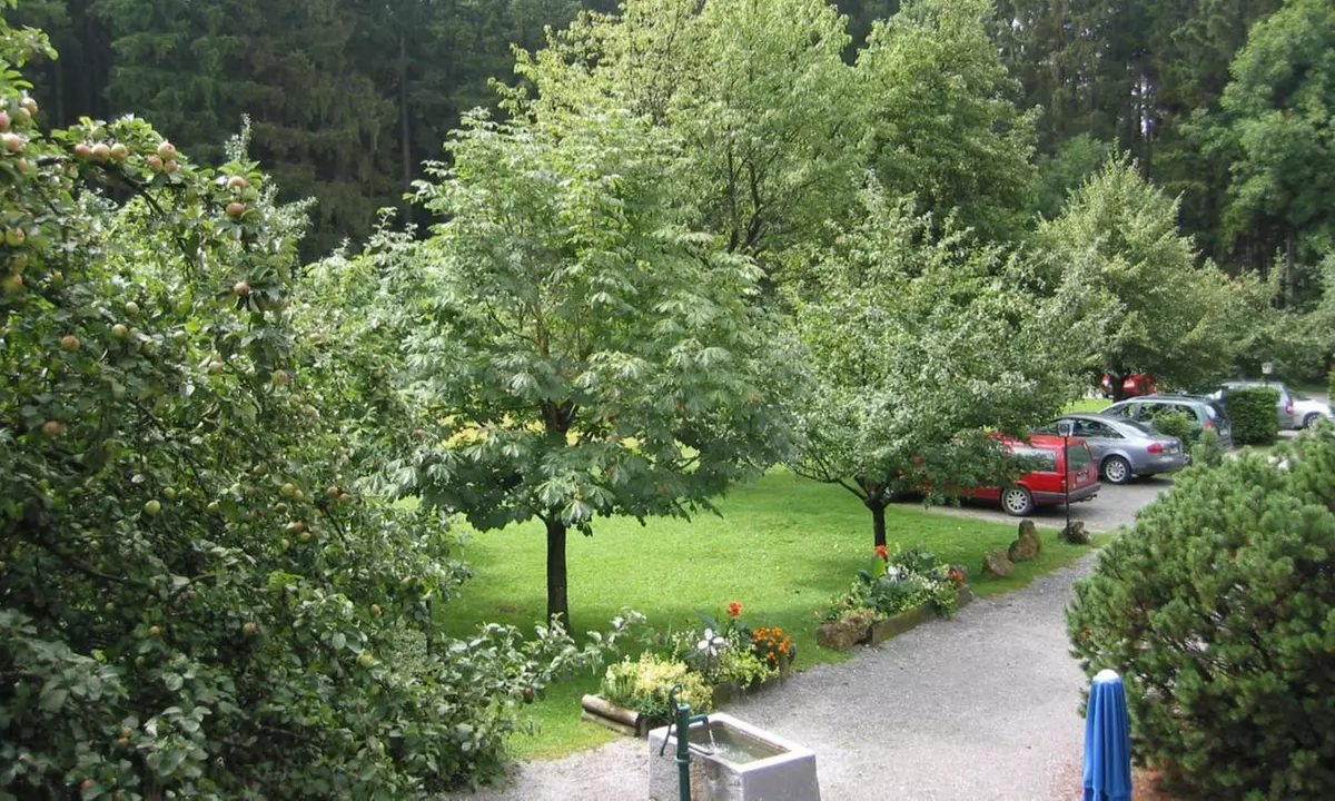 Bad Griesbach: 2, 3 oder 6 Nächte mit Frühstück & 1x 3-Gänge-Menü