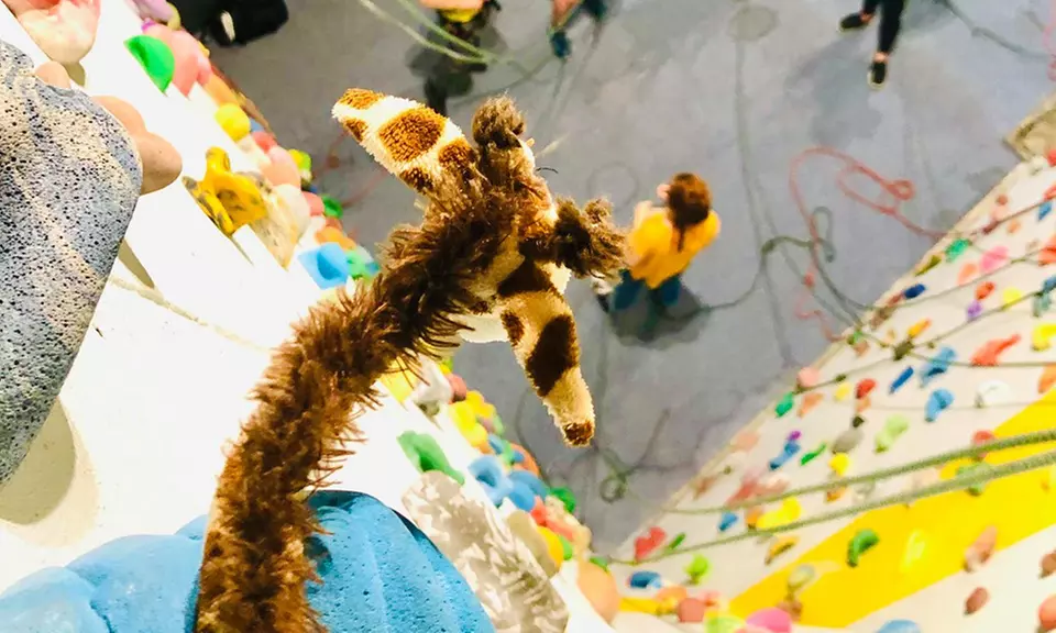 Ścianka wspinaczkowa