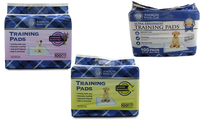 akc ultra absorbent training pads