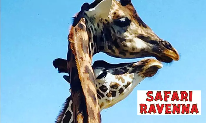 Ingresso intero o ridotto al Safari Ravenna (sconto fino a 14%) - Image 4