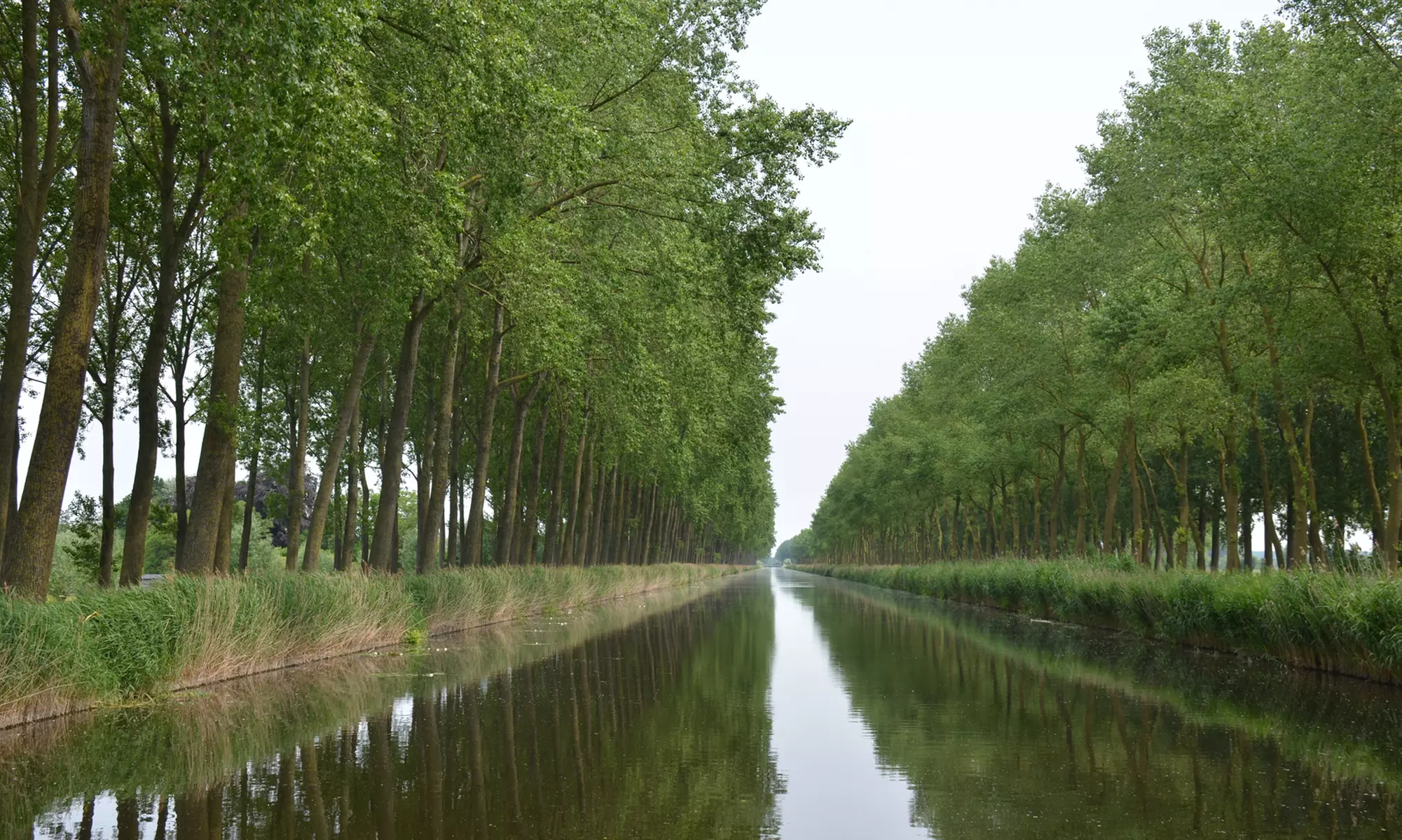 Ga mee op avontuur: retourticket voor boottocht vanuit Brugge of Damme