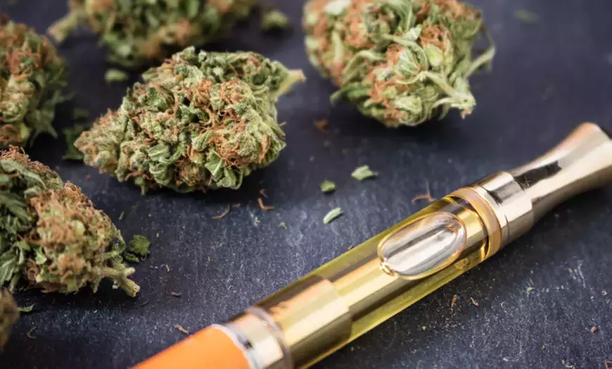 Cannabis Grow Course with Certificate for One or Two from Grow Cannabis School (Up to 96% Off) - Primary Image