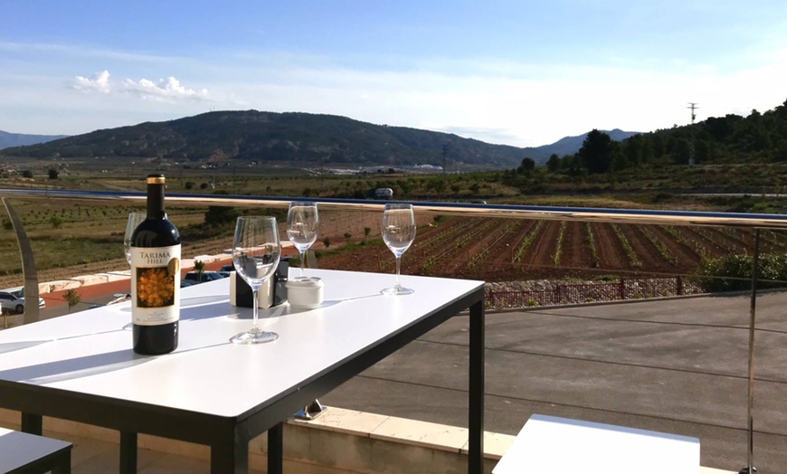 Image 1: Visita guiada o especial catas en Bodegas y viñedos Volver