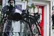 2.5Ft Giant Scary Fake Black Hairy Spiders with Purple Lights for Halloween - Second Medium