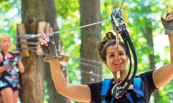 Aerial Park Experience for 2, 4, or 6 People