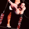 Image 3: Le Cirque Pinder : un spectacle légendaire au mois d'octobre à Lille