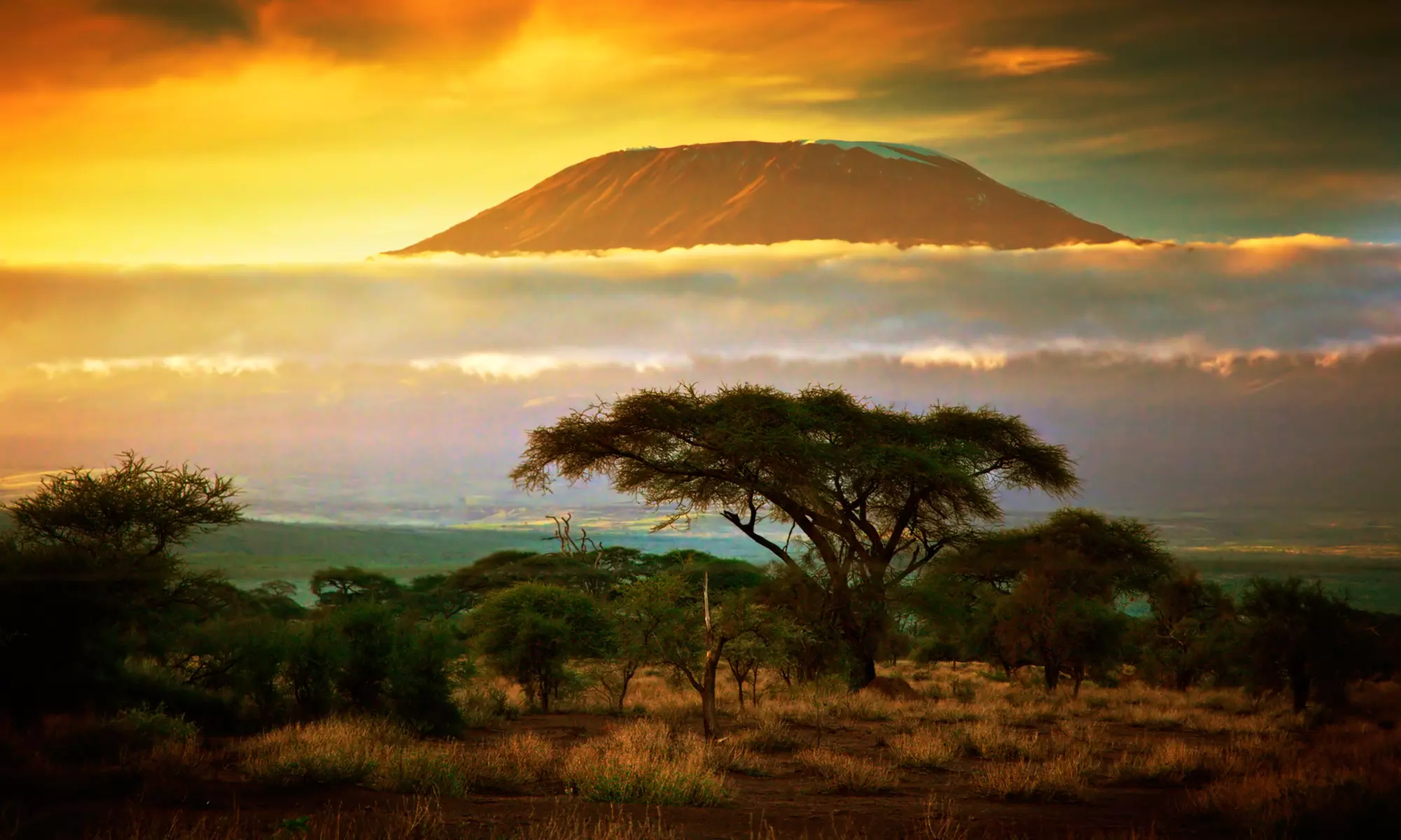 ✈ 10- or 12-Day Kenya & Mt. Kilimanjaro Safari with Air and Optional Zanzibar Trip from Odyssey Safaris - Primary Image