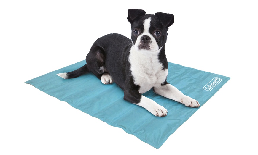 coleman cooling pad