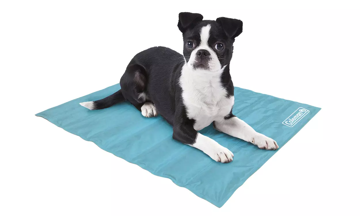 Coleman Comfort Cooling-Gel Pet Pad - Primary Image