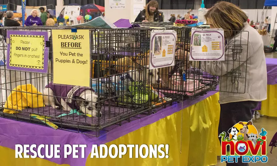 Admission for Two or Four to Novi Pet Expo at Suburban Collection Showplace on November 9-11 (Up to 28% Off) - Second Medium
