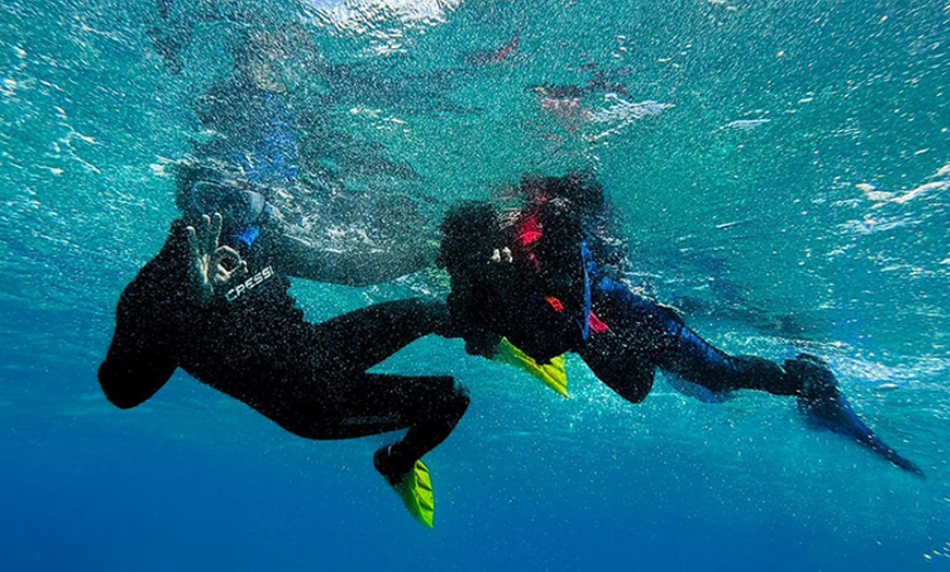 Image 2: Unforgettable Snorkeling Adventures, Discover Scuba Diving or Open Water Dive Courses