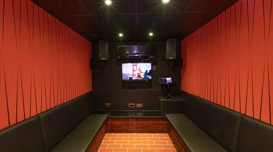 Sing Your Heart Out! 2 Hour Karaoke Booth, Drink & Small Plate