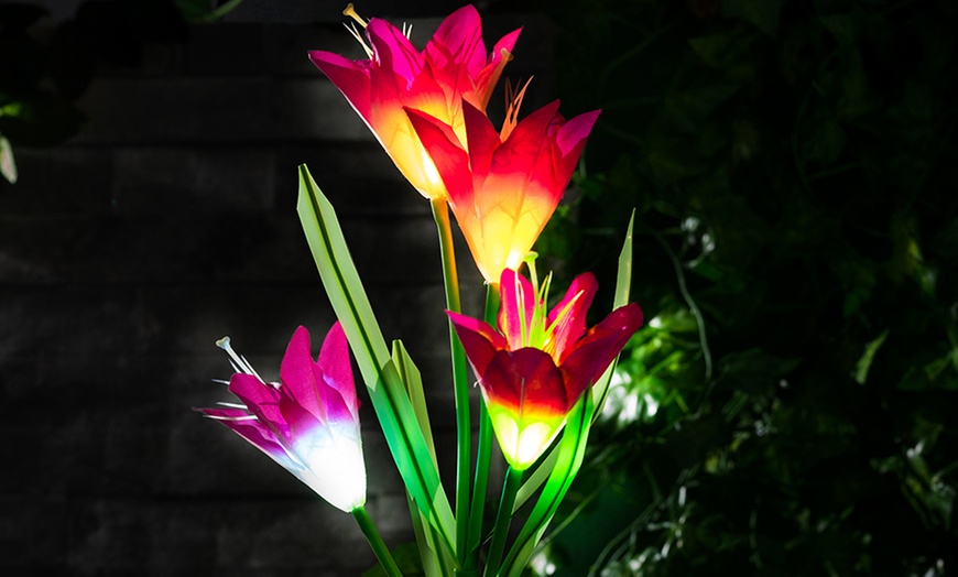 Image 3: Two-, Four- or Six-Pack of Solar Lily Flower Lights